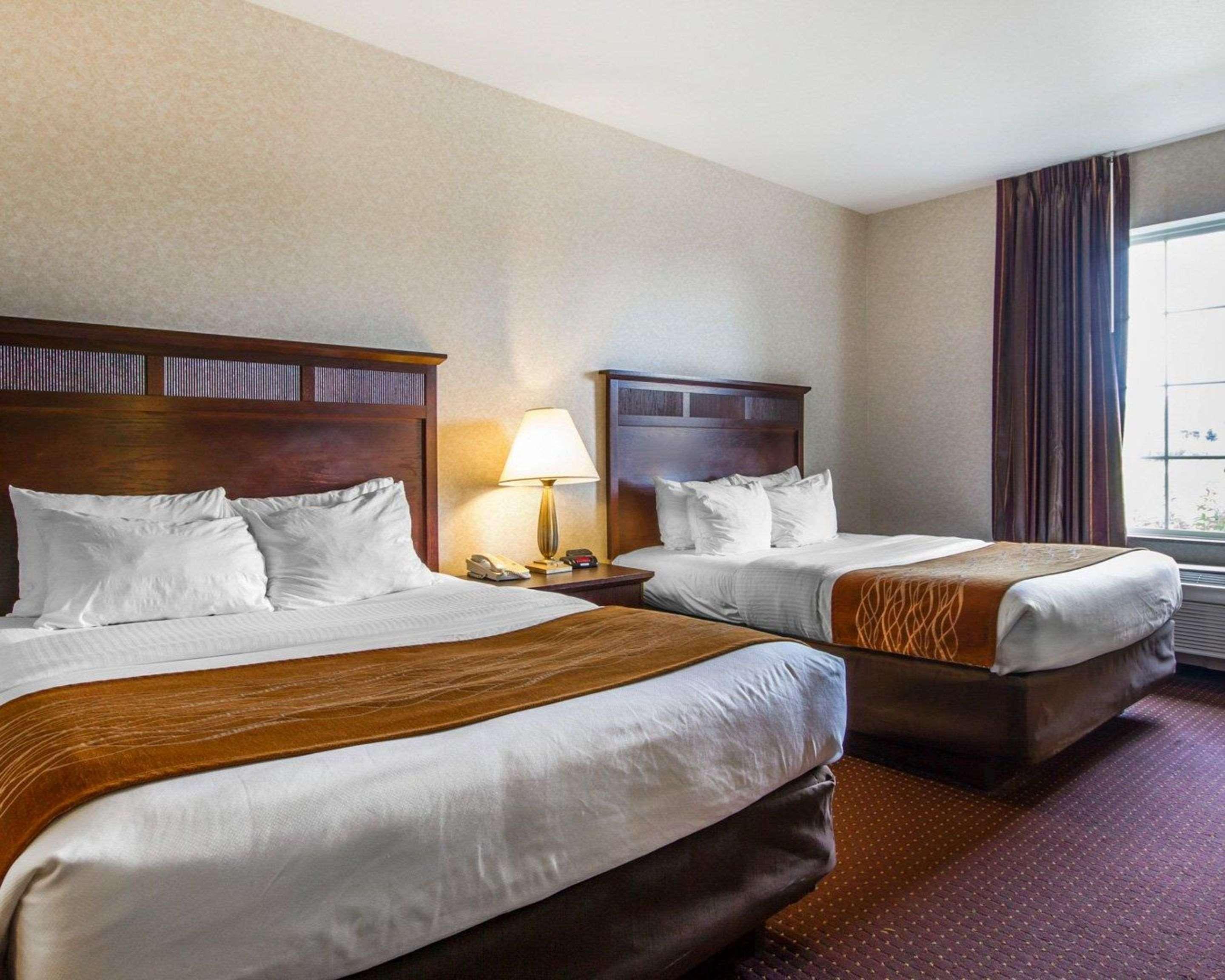 Comfort Inn & Suites Madison North Deforest Екстер'єр фото