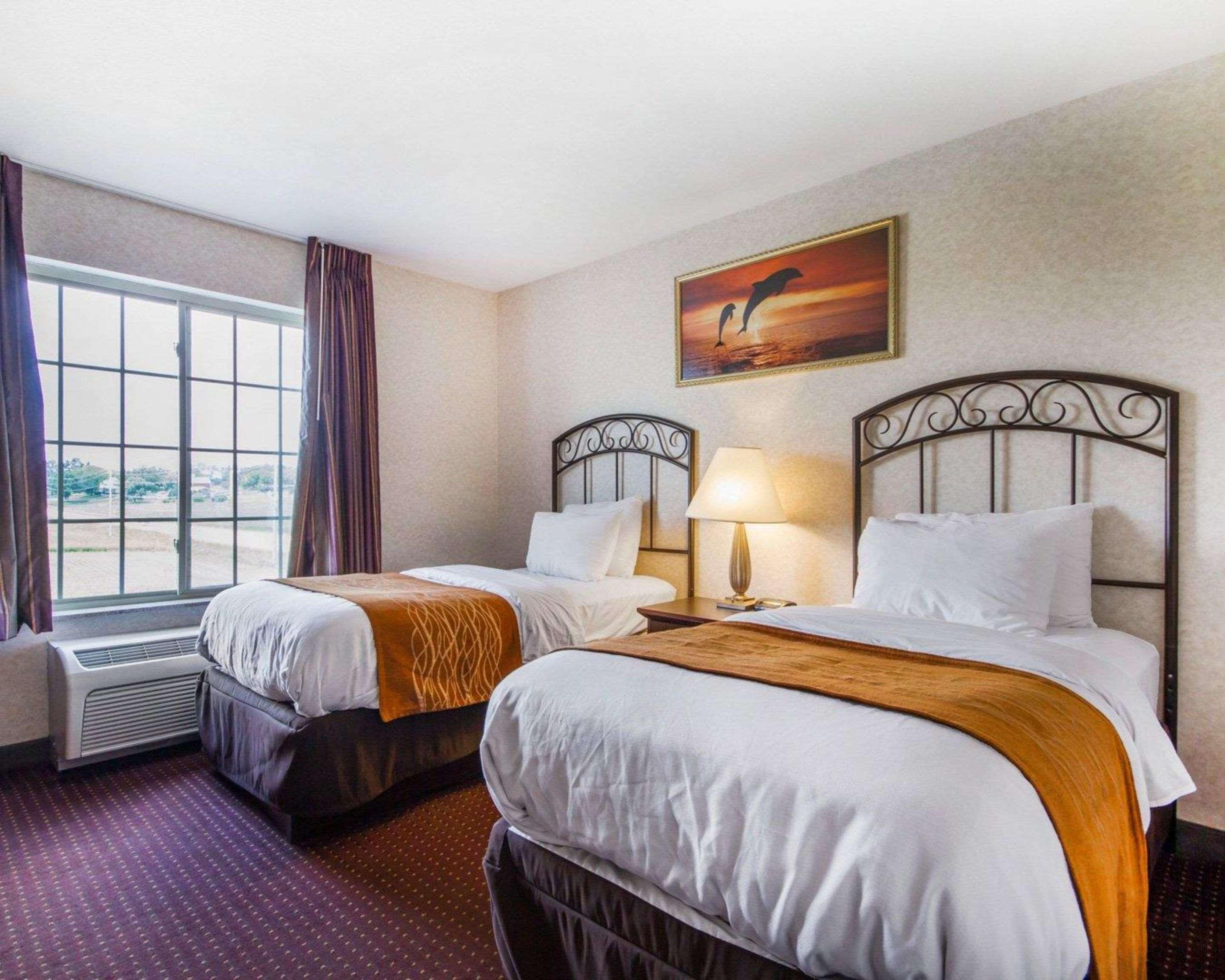 Comfort Inn & Suites Madison North Deforest Екстер'єр фото